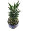 BIO ANANAS `ONE CENT FOR THE FUTURE` 9ST