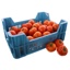 TOMATE A 60/70MM 6KG