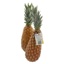 ANANAS SELECT BOUTEILLE 10PCS